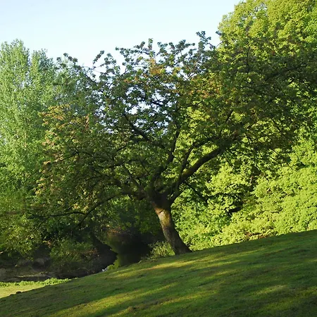 Eggert Hotell Munster (North Rhine-Westphalia)