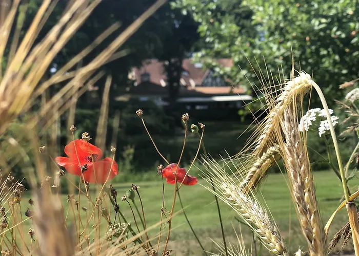 Eggert 酒店 蒙斯特