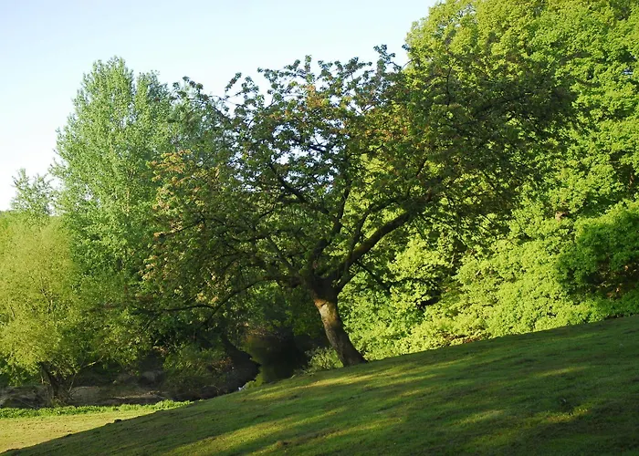 Eggert מלון מונסטר